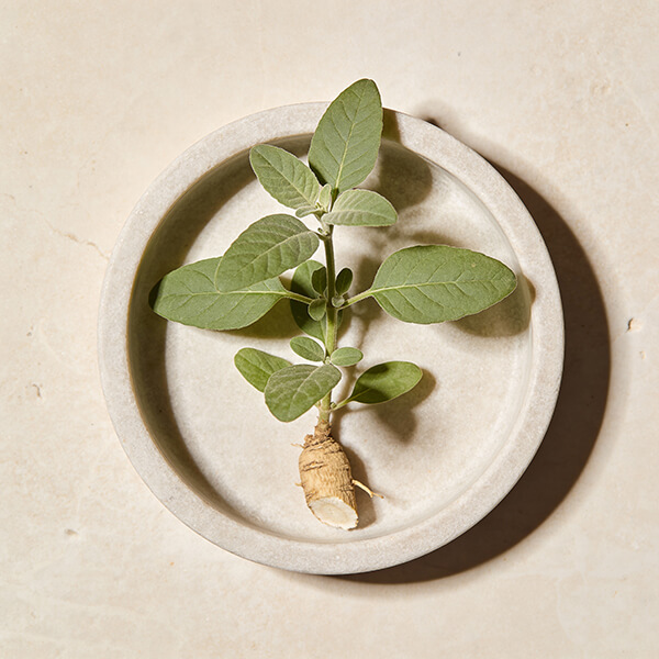 ASHWAGANDA