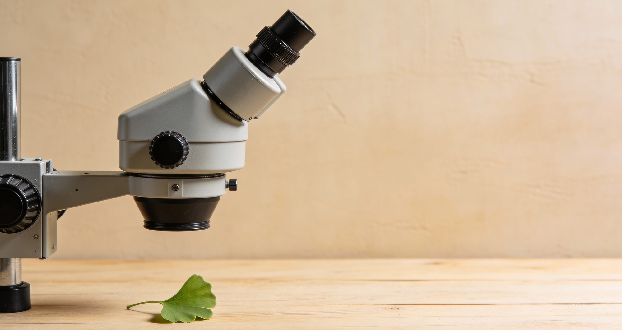 Test de longevidad para suplementos Nad